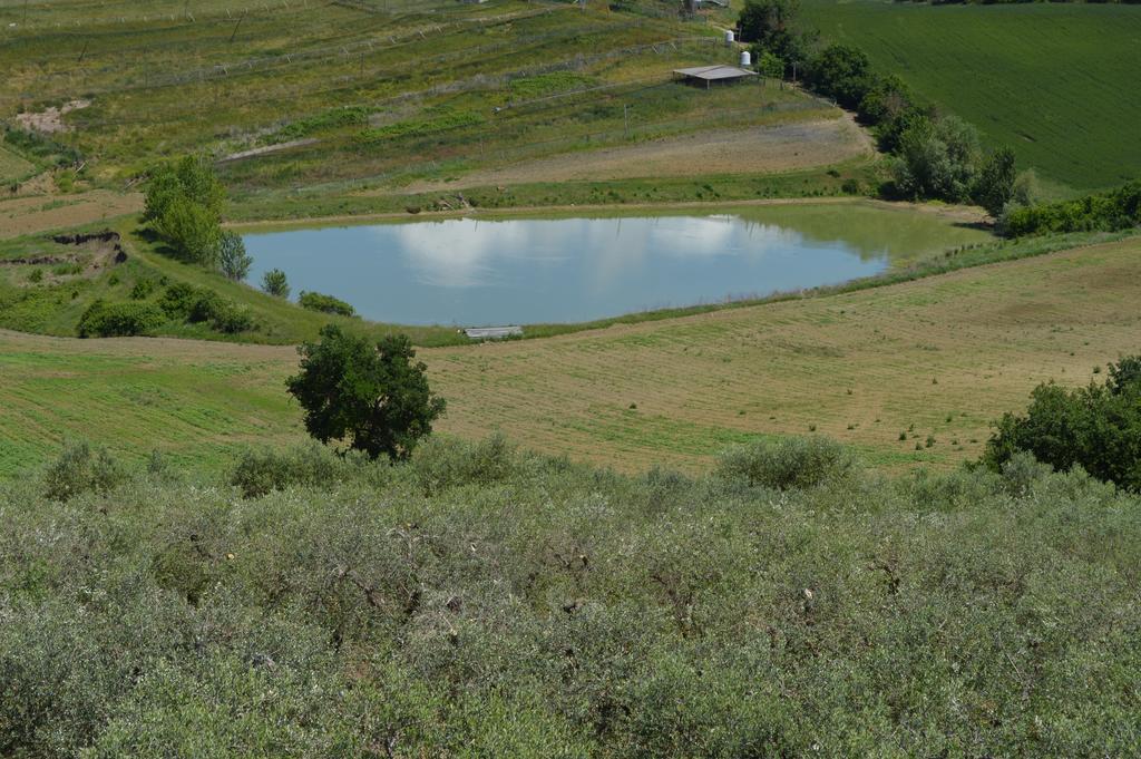 B&B La Casa Fra Gli Olivi Marsciano Luaran gambar